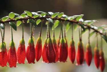 珠海香洲区3私人快速借钱网，轻松解决资金难题