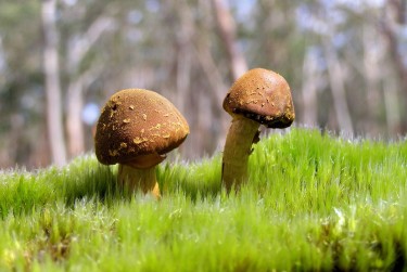 珠海香洲区3私人老板放款：轻松融资的秘密通道